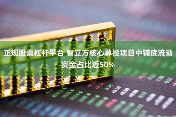 正规股票杠杆平台 智立方核心募投项目中铺底流动资金占比近50%